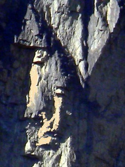 MP009-247x330.jpg MP009-247x330.jpg
